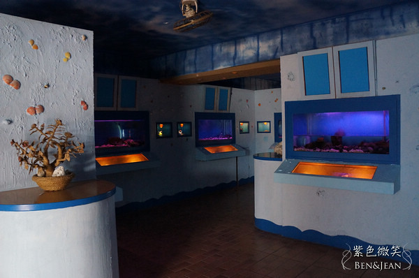 頭城景點推薦》北關螃蟹博物館-令人驚豔的螃蟹王國 @紫色微笑 Ben&amp;Jean 饗樂生活
