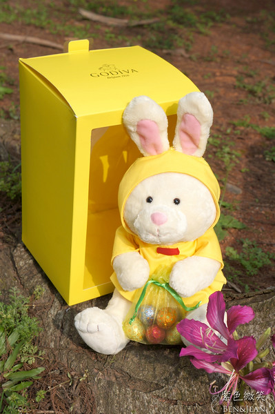▋GODIVA▋復活蛋巧克力小兔禮盒~懷抱著驚喜的繽紛迷你巧克力復活蛋 @紫色微笑 Ben&amp;Jean 饗樂生活